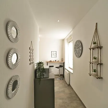 Apartment Cotton#spa#jacuzzi#mulhouse *
